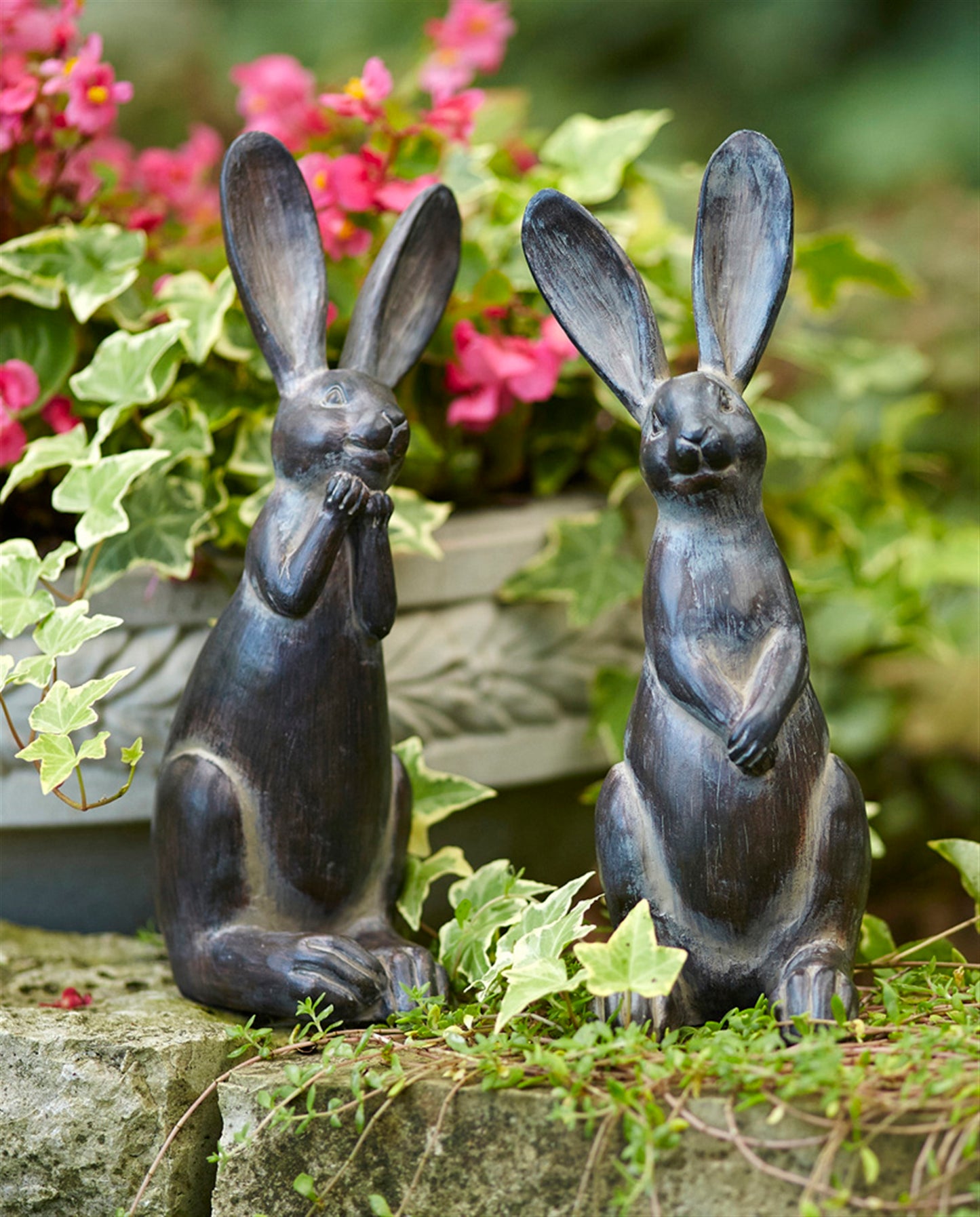 Brown Long Ear Rabbit Statue (Set of 2)