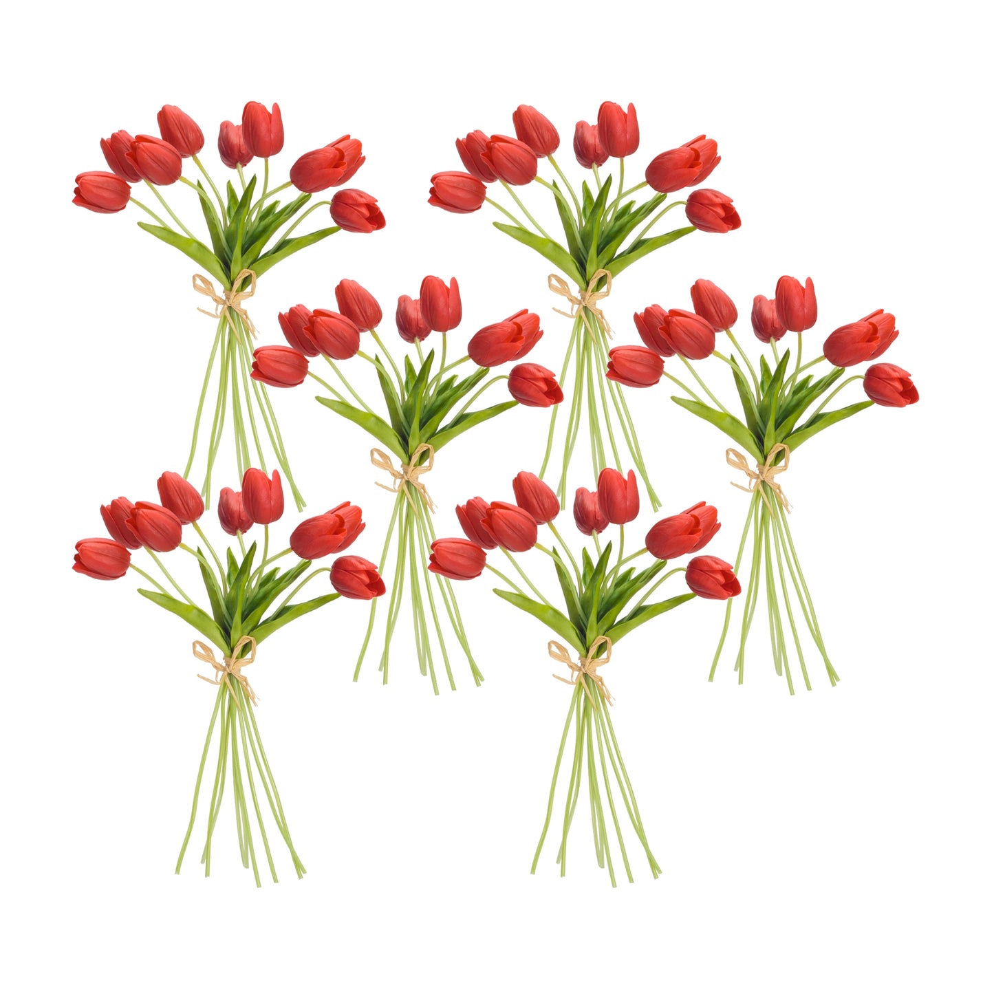 Spring Red Tulip Bundle (Set of 6)