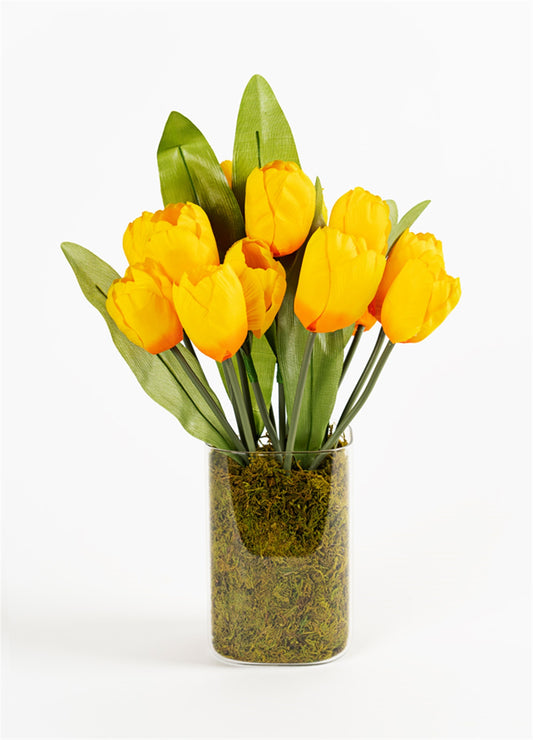 Yellow Tulip Glass Vase Arrangement (Set of 2)