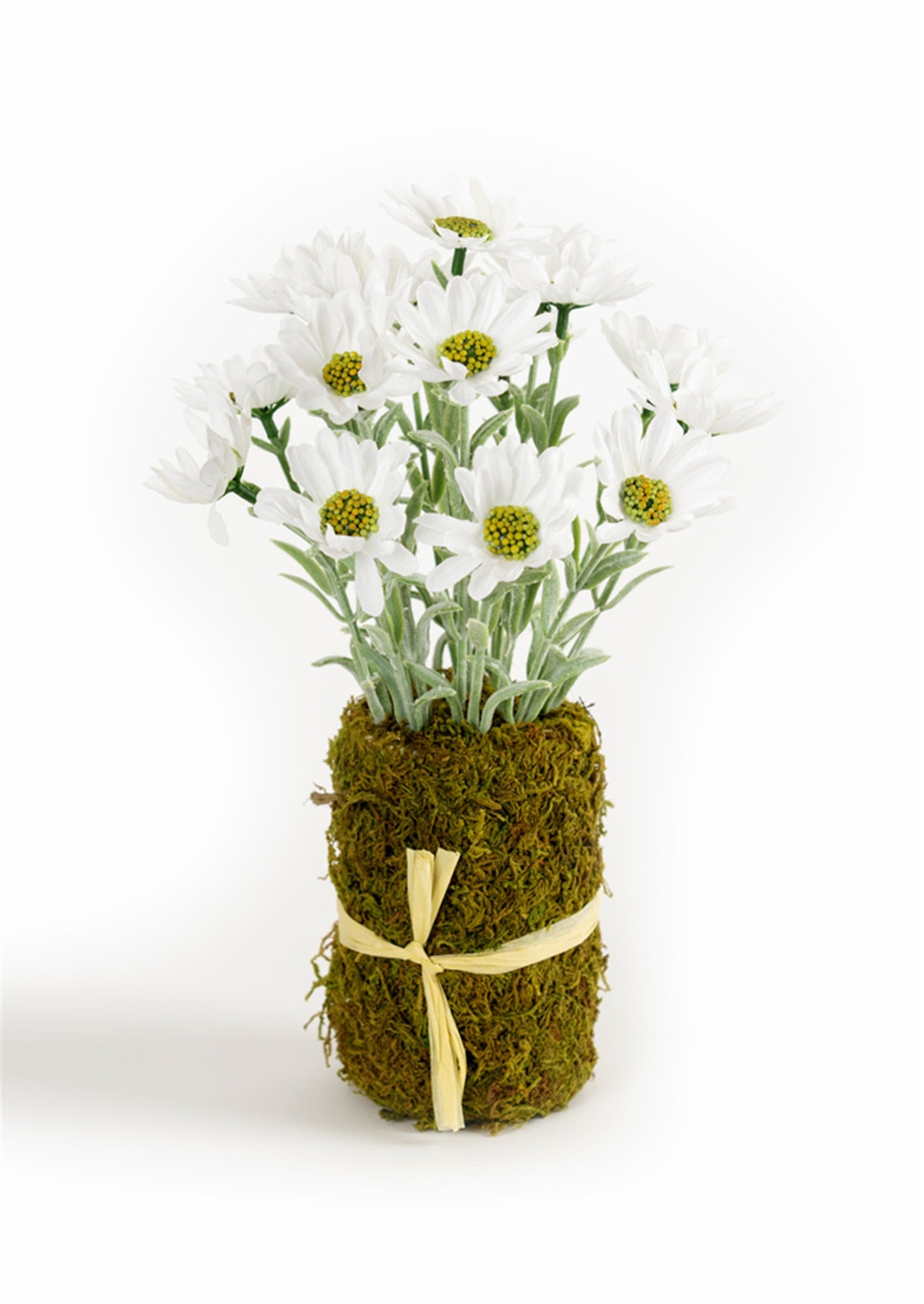 Daisy Floral Vase Insert with Moss Base (Set of 6)