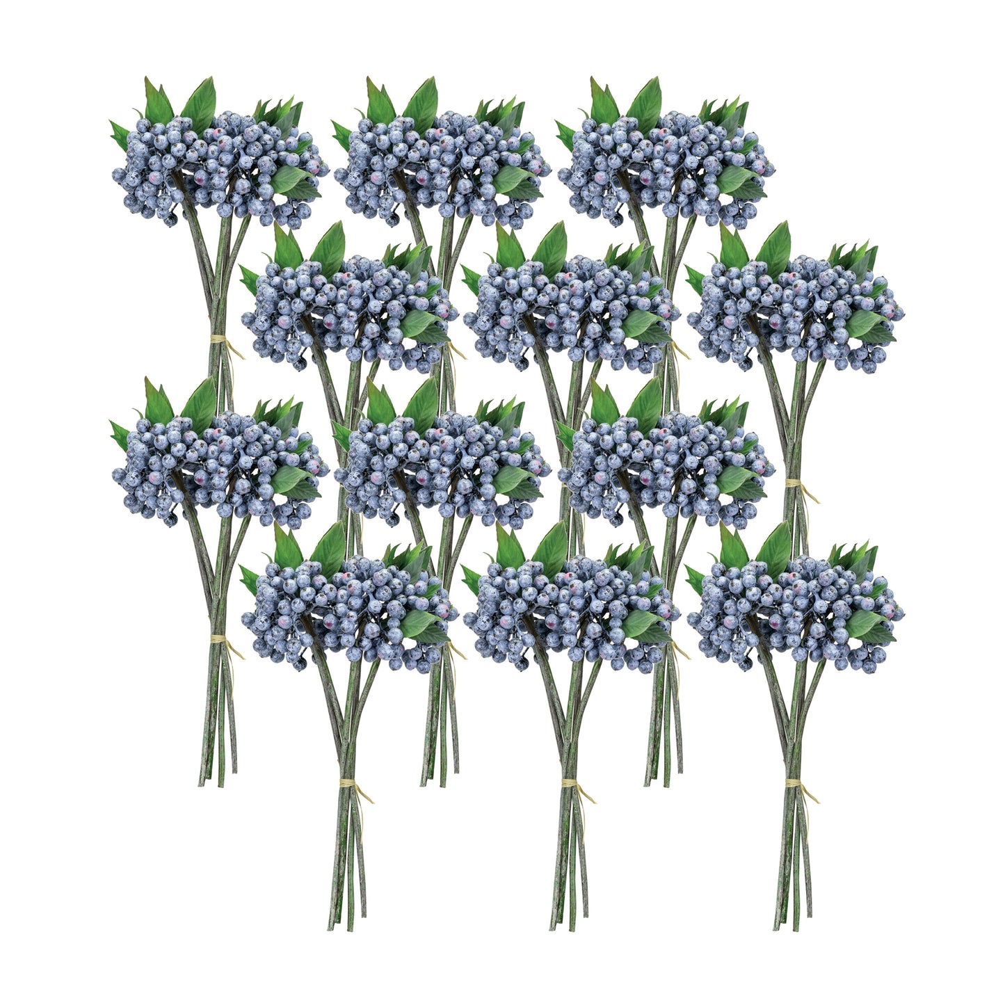 Blue Berry Foliage Bundle (Set of 12)