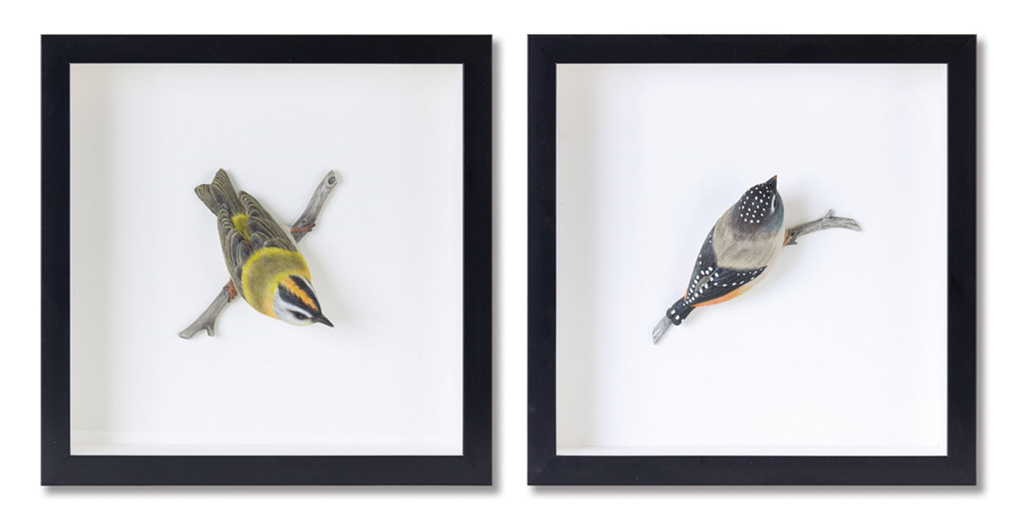 Wood Framed Bird Shadow Box Wall Art (Set of 2)