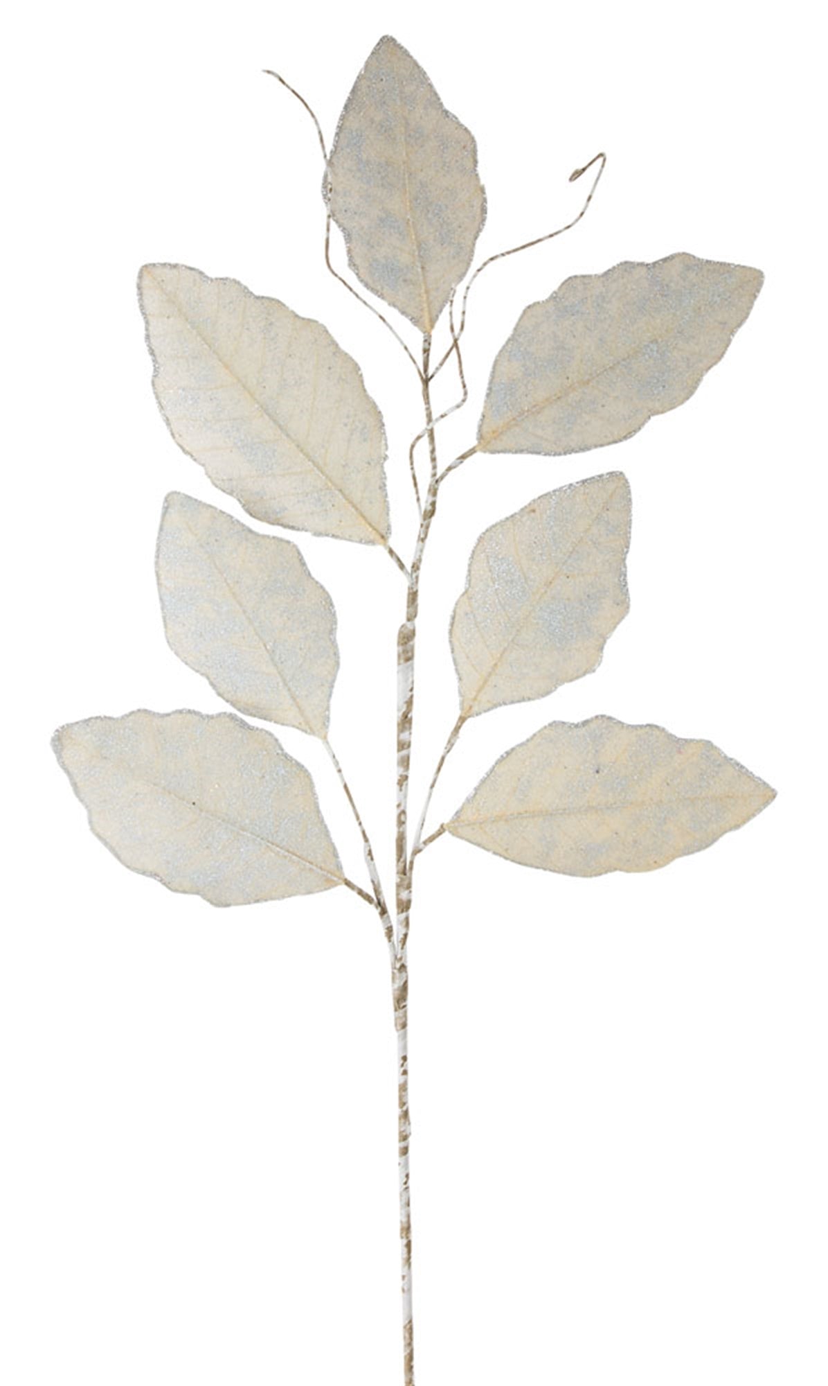 Champagne Magnolia Leaf Spray with Twig Accent (Set of 12)
