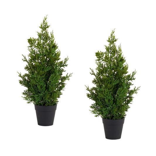 Holiday Pine Tree in Plastic Pot (Set of 2)