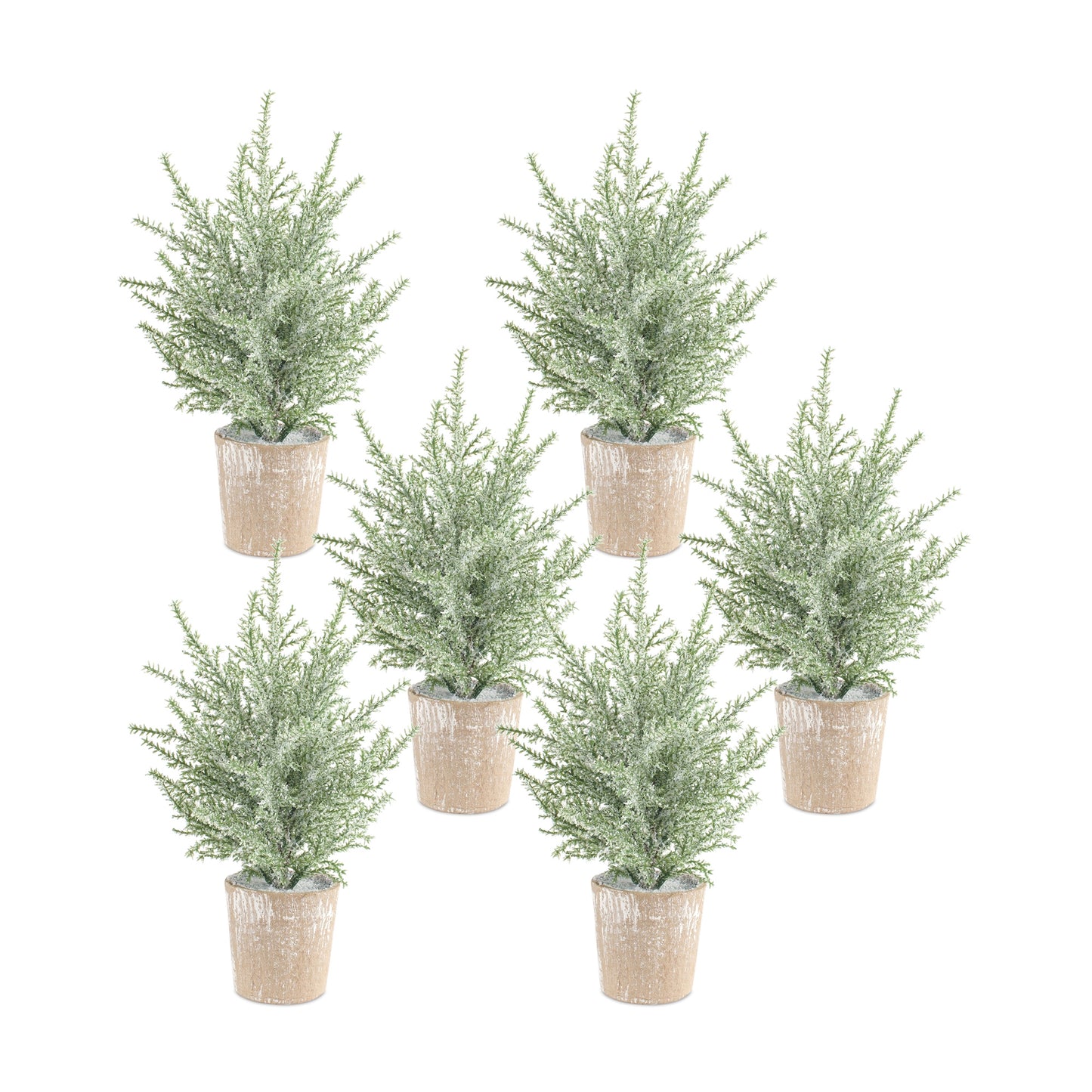 Frosted Holiday Pine Tree in Paper Pot (Set of 6)