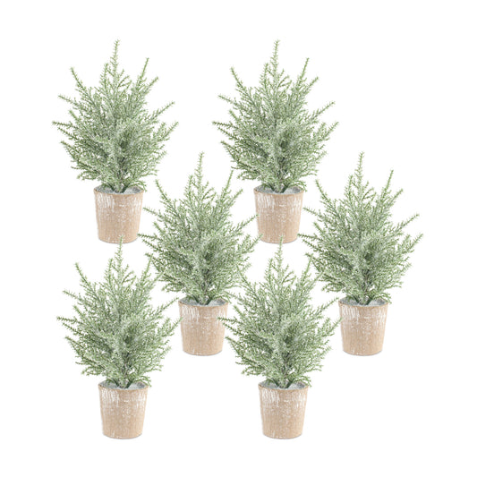 Frosted Holiday Pine Tree in Paper Pot (Set of 6)