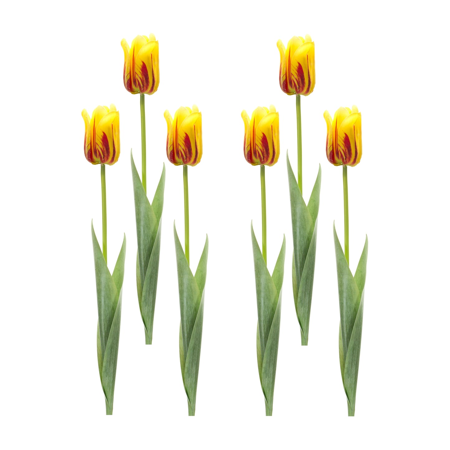 Yellow and Red Tulip Stem (Set of 6)