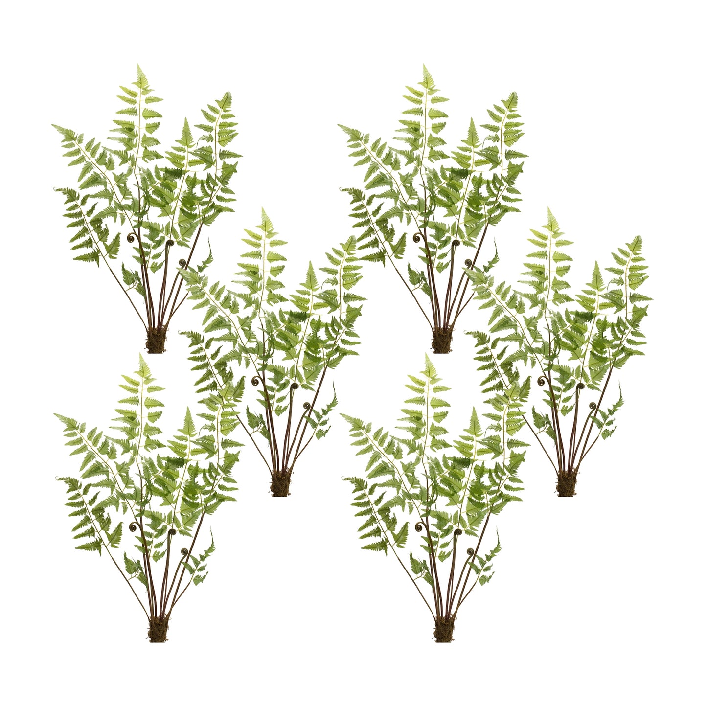 Varigated Fern Bundle with Sprout Accents (Set of 6)