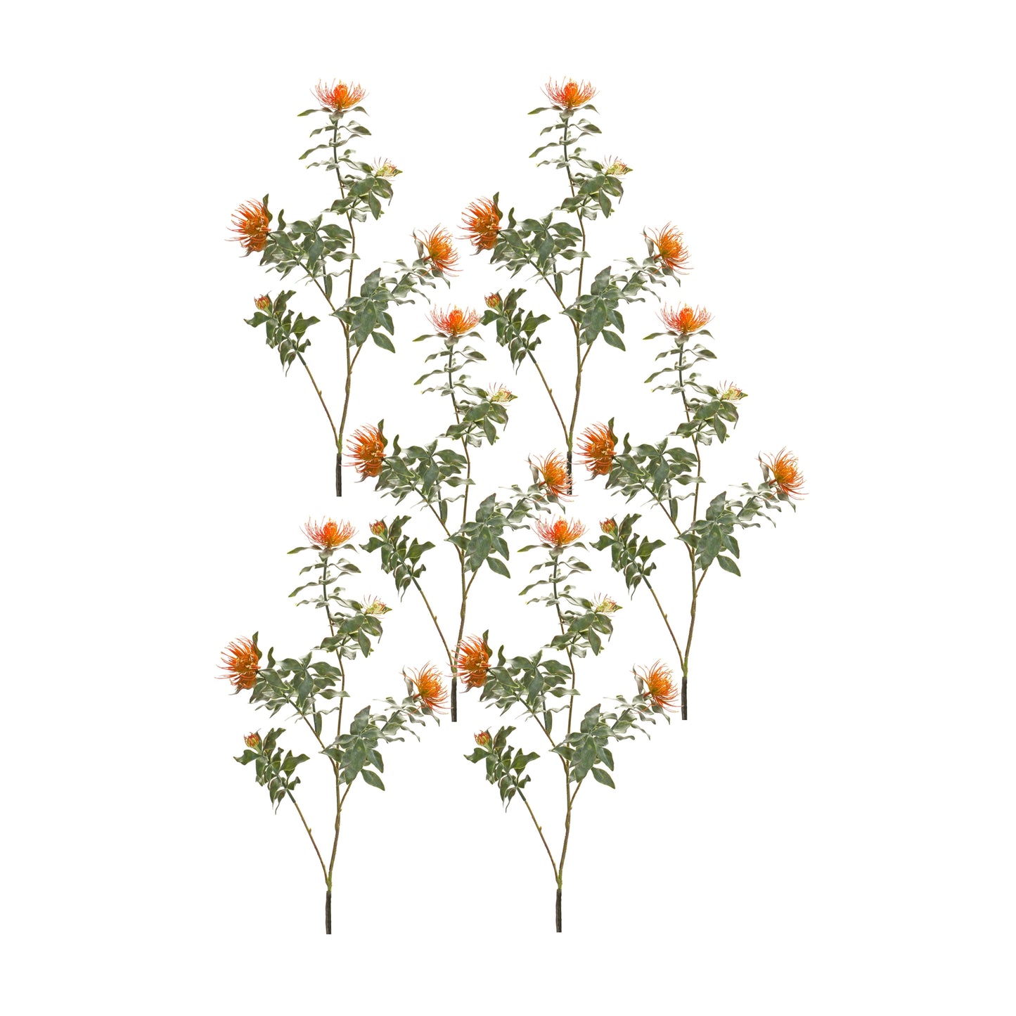 Orange Flocked Protea Spray (Set of 6)