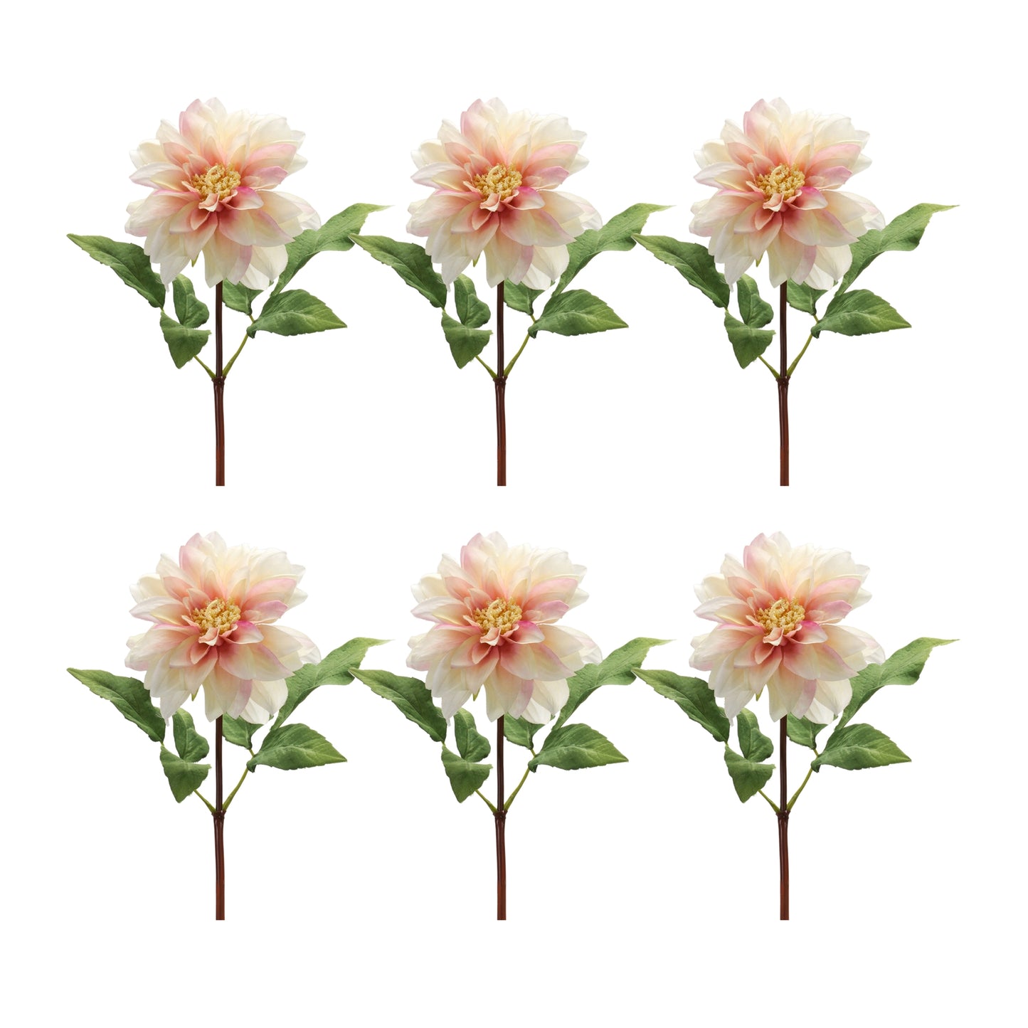 Coral Pink Dahlia Flower Stem (Set of 6)