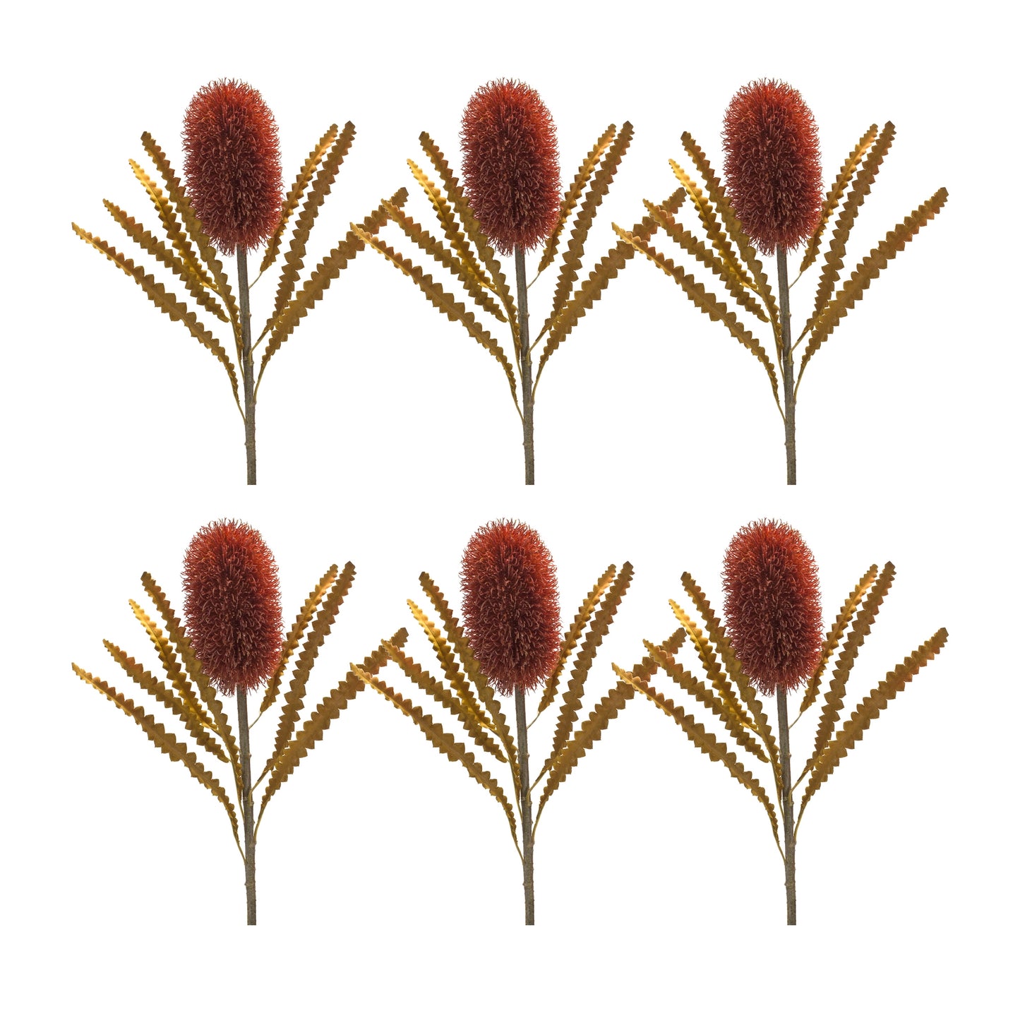 Burnt Orange Banksia Floral Stem (Set of 6)