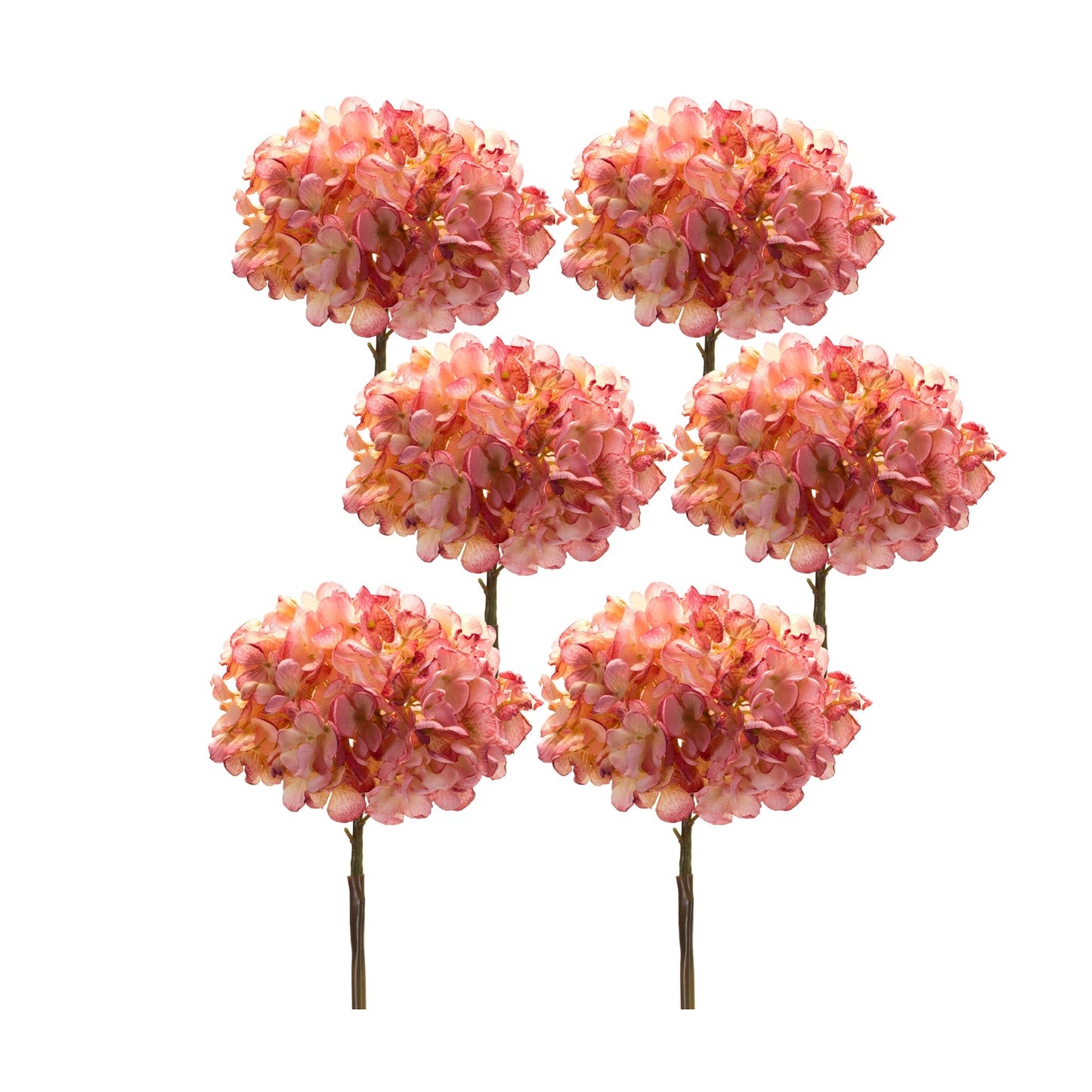 Coral Pink Hydrangea Flower Stem (Set of 6)