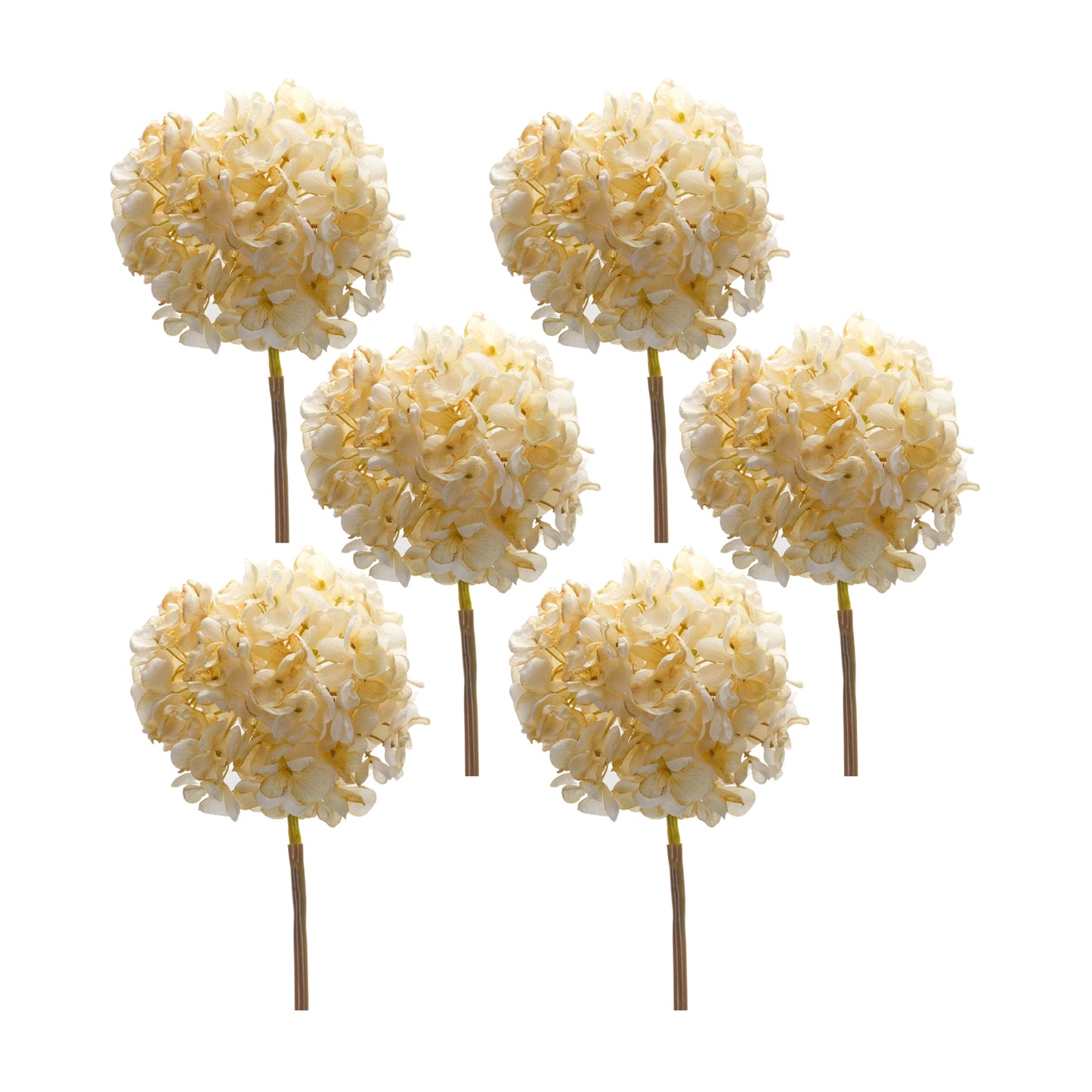 Ivory Cream Hydrangea Flower Stem (Set of 6)