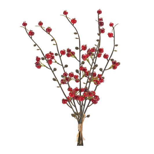 Winter Berry Twig Bundle (Set of 6)