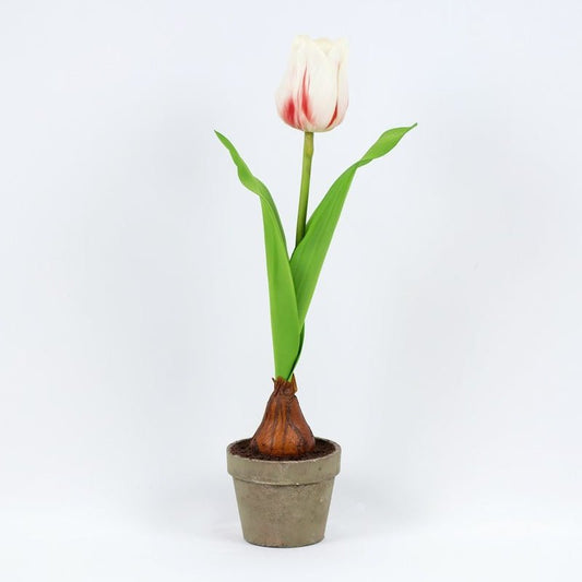 16" faux tulip in a pot, gn/wh/rd/bn UPC: 810071256202