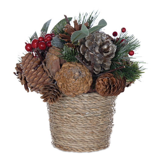 Potted Pinecone Berry Arrangement (Set of 2)